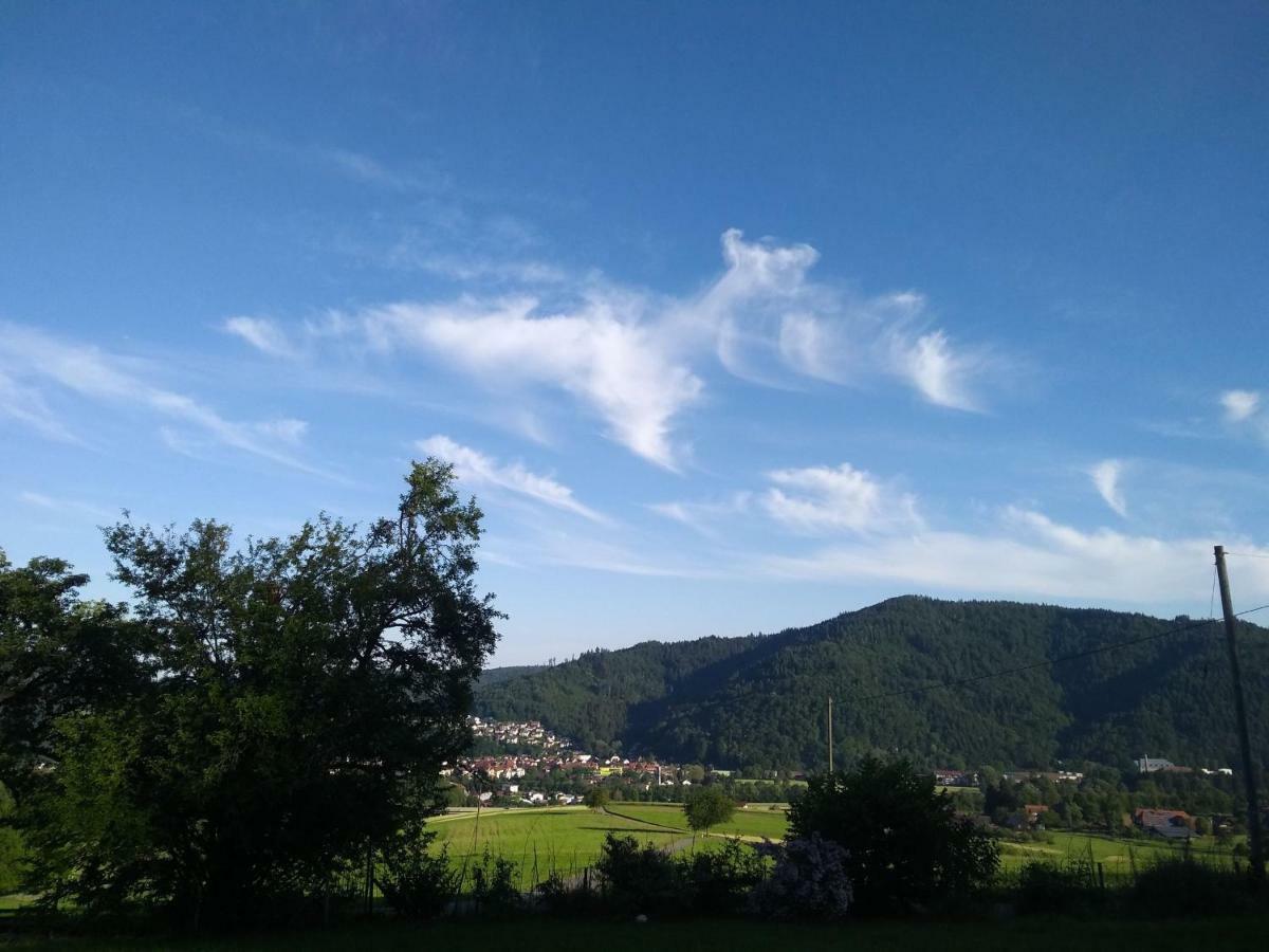 Ferienwohnung Am Eichbuehl 瓦德奇 外观 照片